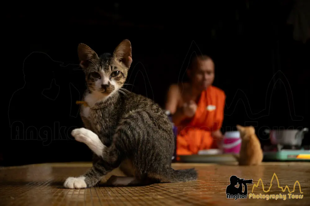 Cambodian People 3